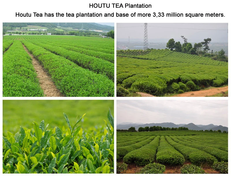 houtu tea-4
