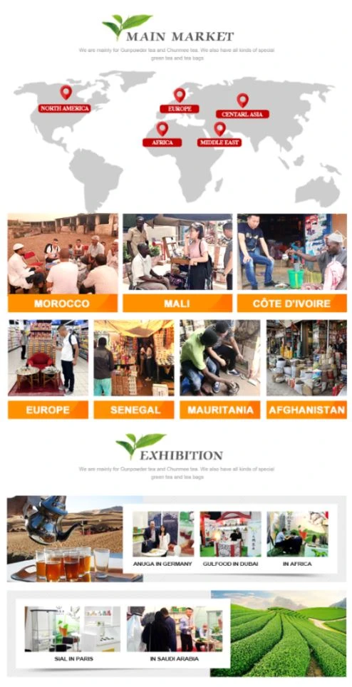market exhibition-min market exhibition-min