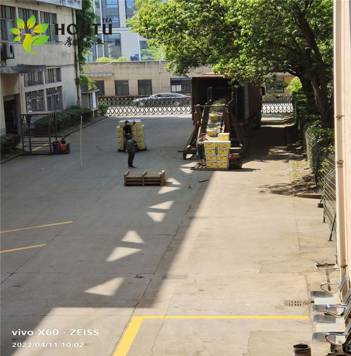 chinese  chunmee tea Direct Wholesale green tea factory 