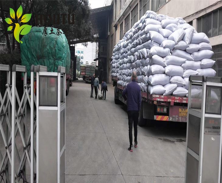 High Quality Bulk Green Tea Factory Export  tea to Morocco 