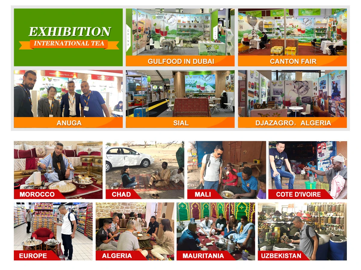 houtu tea attend ISAL exhibition .jpg houtu tea attend ISAL exhibition .jpg
