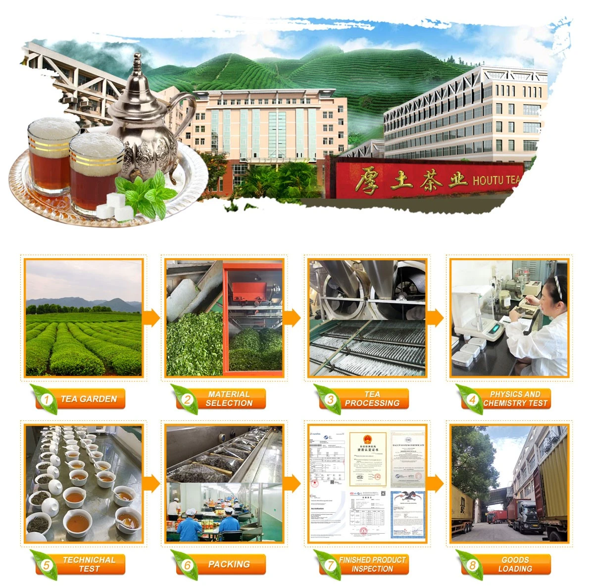 houtu tea production process optimization houtu tea production process optimization